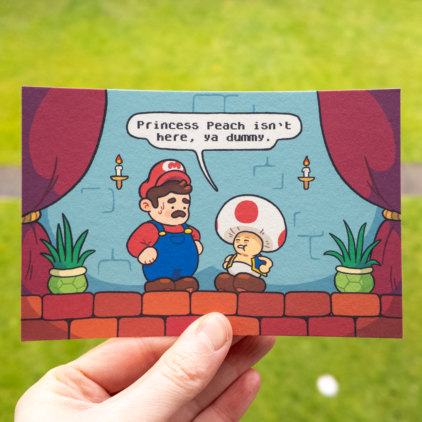Toad Bundle